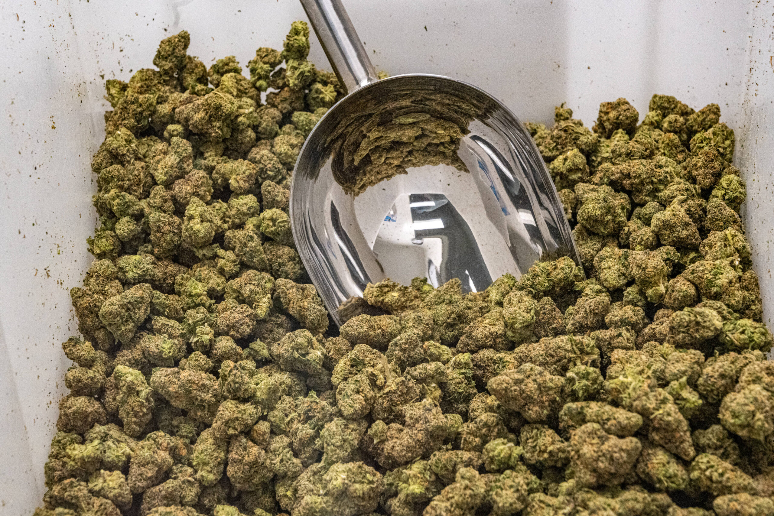 Medizinalcannabis: Bundesrat schlägt weitere Änderungen vor