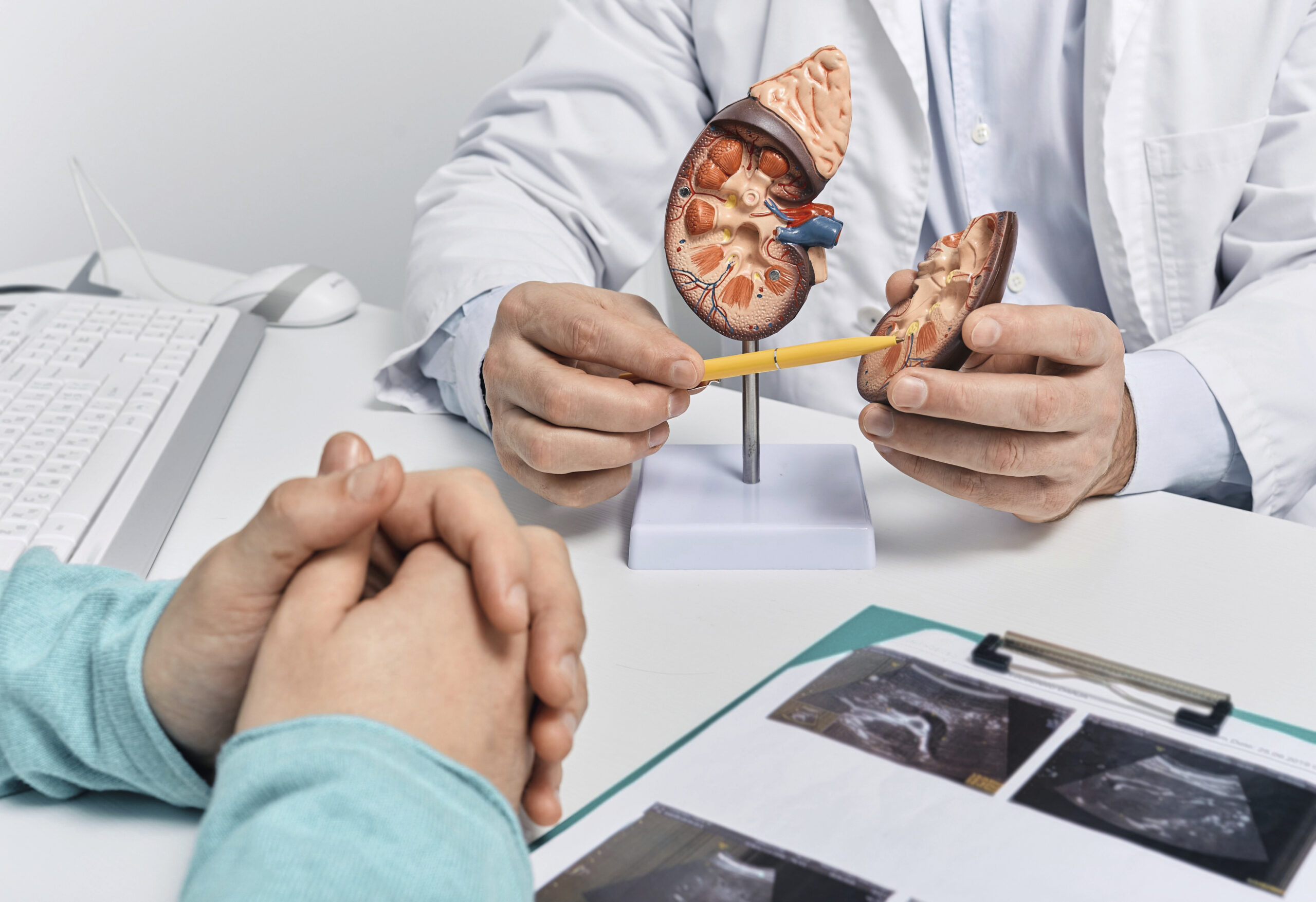 Das müssen Apothekenteams über Nierenerkrankungen wissen