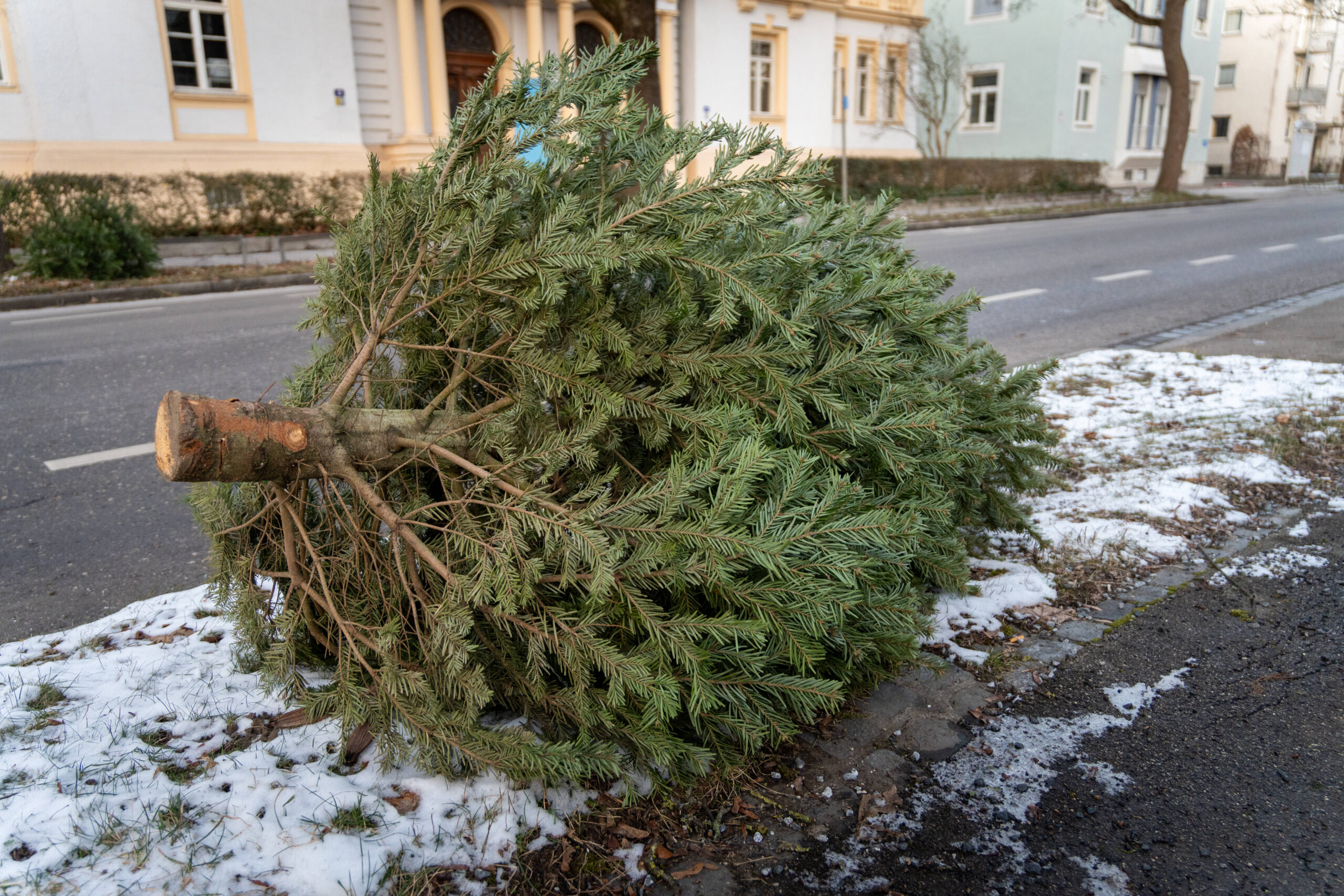 Abda: Apotheken sind keine Weihnachtsbäume