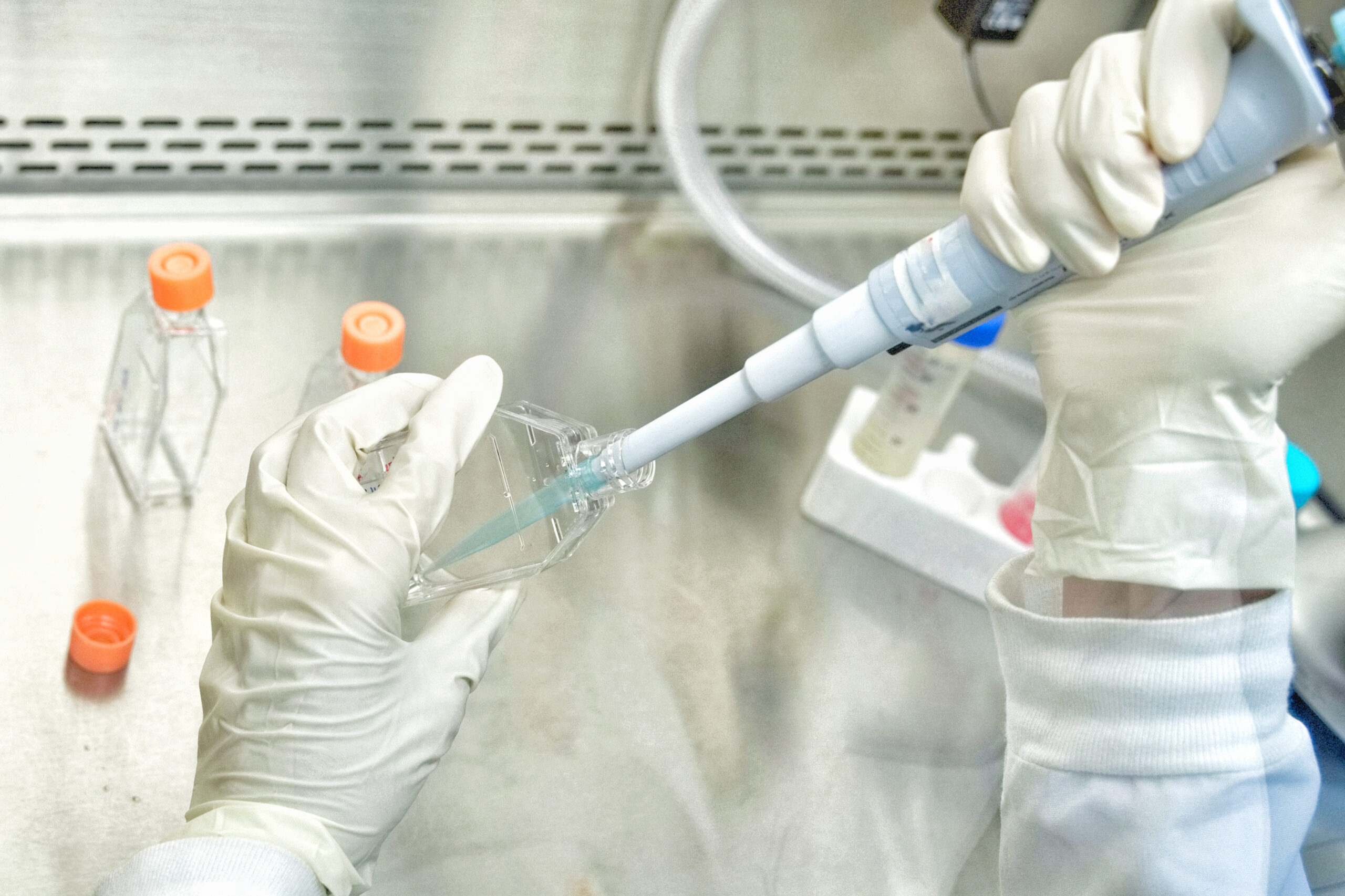 3D-Zellkultur statt Tierversuch?