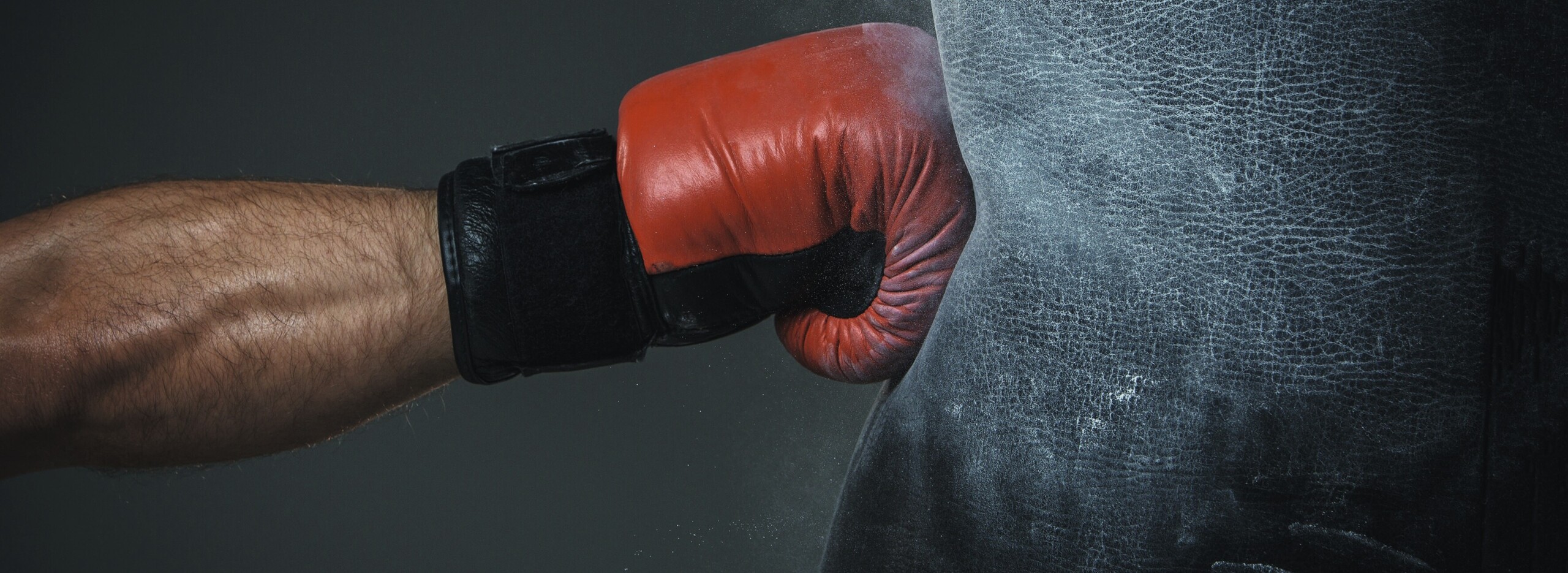 Tirzepatid schlägt Cagrisema