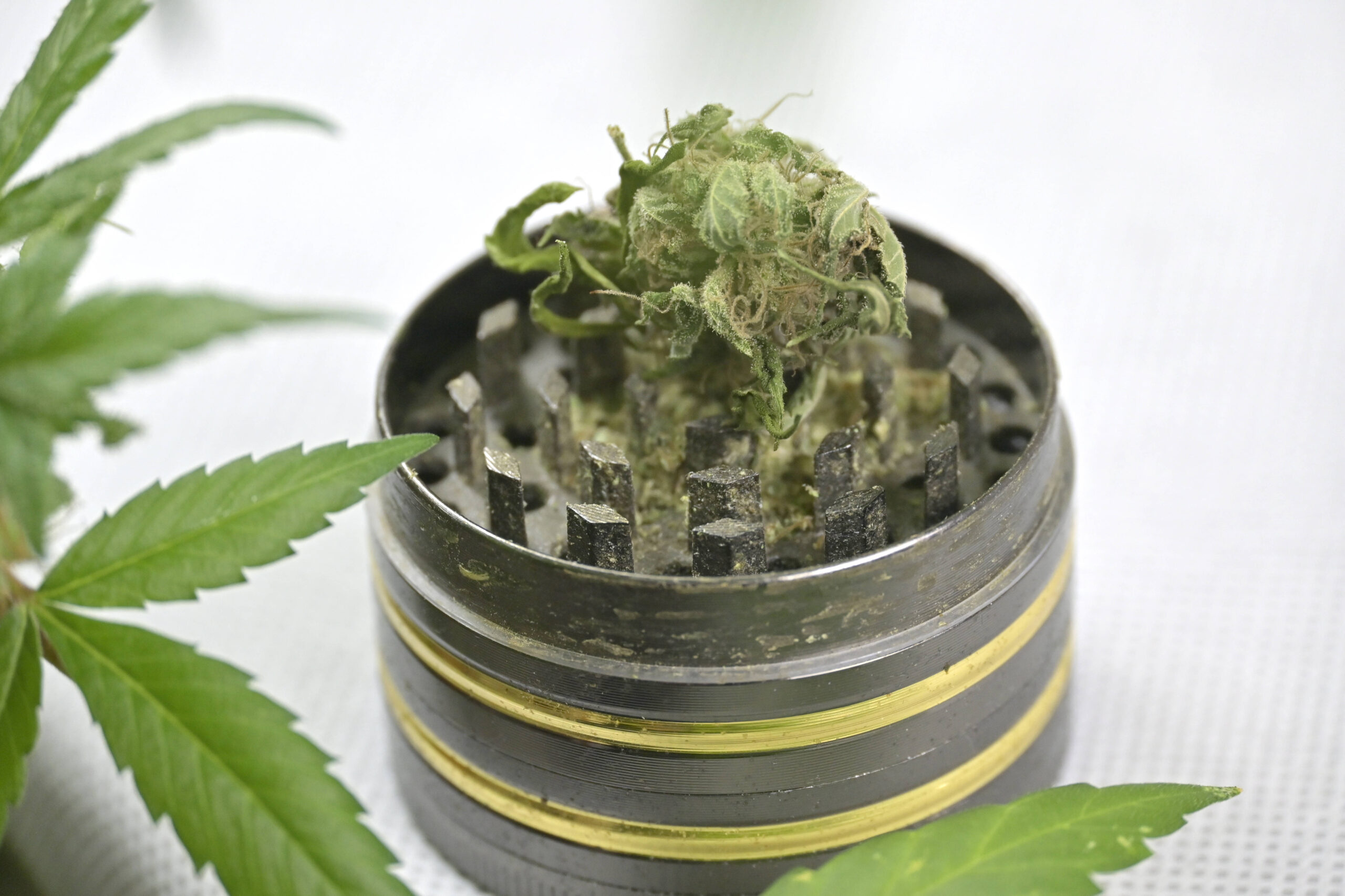 Experten warnen: Folgen des Cannabis-Konsums erst später sichtbar