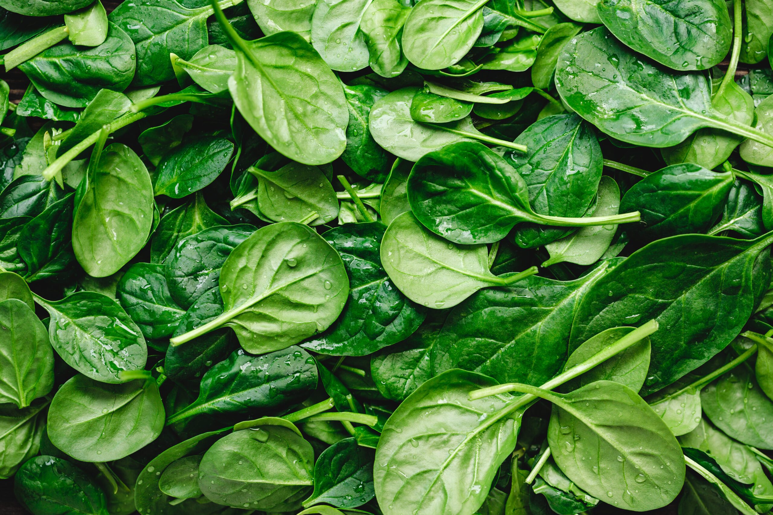 Bessere Lungenfunktion durch Vitamin K?